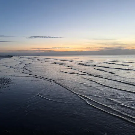 Vitamin Sea - Estelle * De Panne